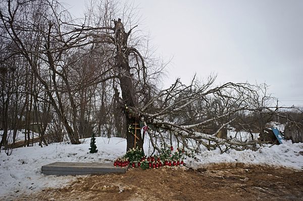 Amerykańska Polonia wierzy, że prezydent został zamordowany