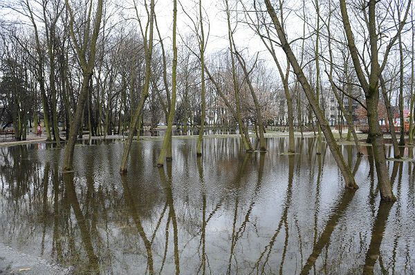 Alarm powodziowy przy granicy z Polską