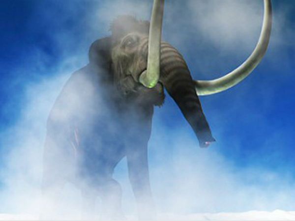 Odkryto szczątki mamuta zranionego przez lwy i zabitego przez ludzi