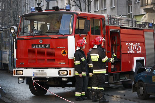 Płonął las wzdłuż trasy kolejowej, przy której ma być ukryty "złoty pociąg"