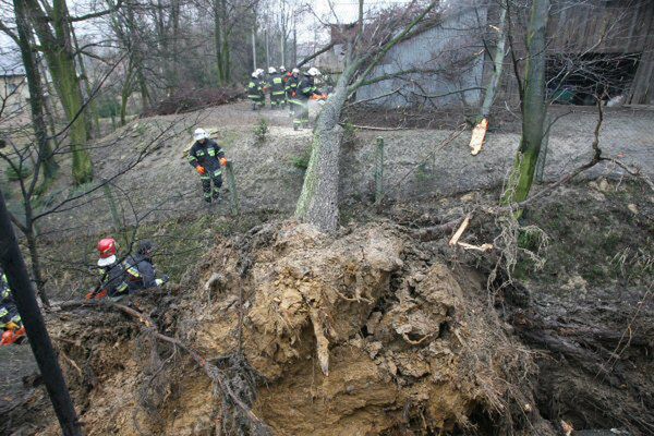 5 osób rannych, powalone drzewa, uszkodzone domy
