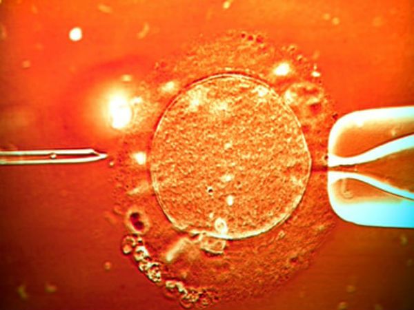 Refundacja metody in vitro. Kluby podzielone w ocenie planów premiera