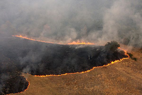 Ewakuacja kilku tysięcy mieszkańców serbskich wsi zagrożonych pożarami