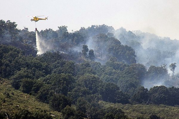 Pożar zniszczył ponad tysiąc hektarów lasów w Hiszpanii