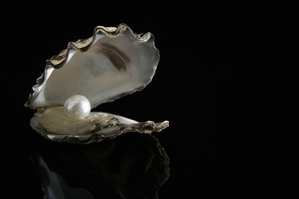 Odkryto najstarszą perłę na świecie