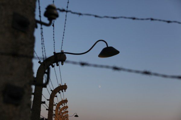 Pasiak z Auschwitz na aukcji internetowej. Portal przeprasza