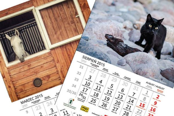 Zwierzęce kalendarze na 2015 rok - akcja charytatywna dla schroniska