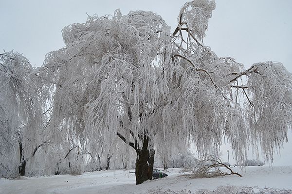 Prognoza pogody na 11 i 12 lutego