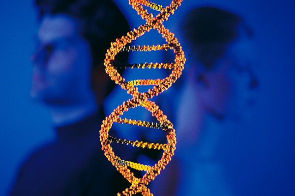 Naukowcy zaobserwowali w DNA człowieka tzw. poczwórną helisę. Ma związek z powstawaniem raka?