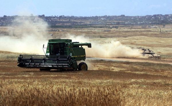 Izraelscy rolnicy w pobliżu Strefy Gazy orzą wbrew zakazom