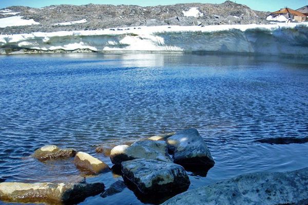 Ciepłe wody Antarktyki mogą zaszkodzić krylowi