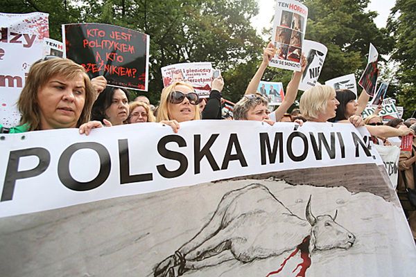 Izrael ponownie krytykuje Polskę ws. uboju rytualnego