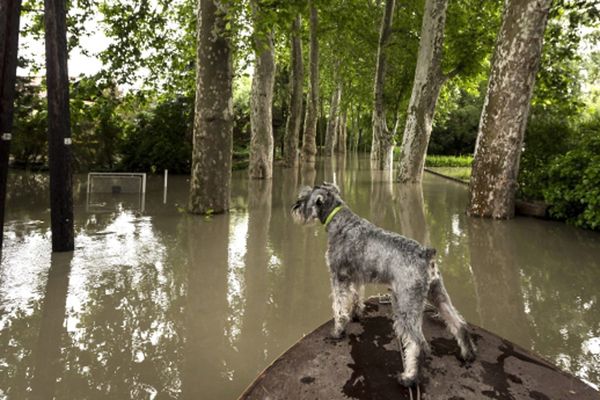 Premier Węgier: czeka nas największa w historii fala powodziowa