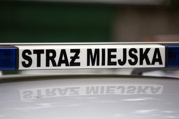 Dewastacja gdyńskich lasów. Pojawi się więcej patroli straży miejskiej