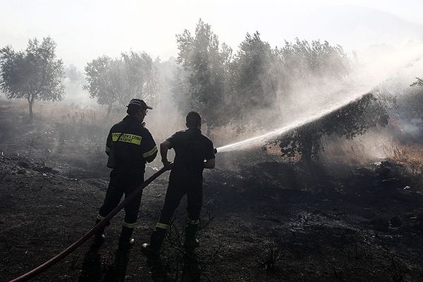 Ogień zagraża przedmieściom stolicy Grecji