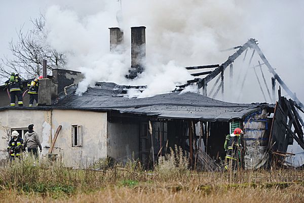 Płonie budynek gospodarczy w Tanowie. Na miejscu siedem jednostek straży pożarnej