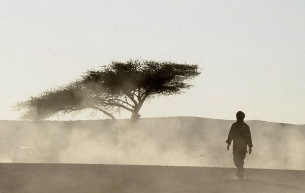 Niger: co najmniej 35 emigrantów zmarło z pragnienia na pustyni