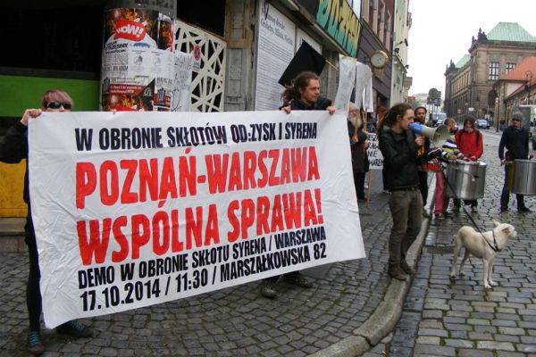 Poznańscy anarchiści solidarni ze skłotem Syrena