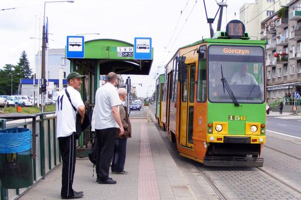 ZTM szuka osoby, która zwiększy punktualność autobusów i tramwajów