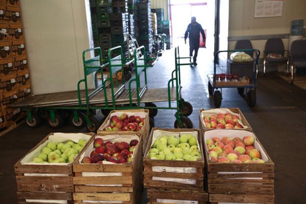 Polska zabiega, by USA otworzyły swój rynek dla polskich jabłek