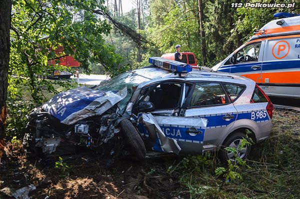 Polkowice: policjantka wjechała radiowozem w drzewo