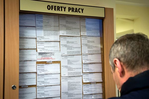 Rewolucja w urzędach pracy - każdy bezrobotny może dostać pracę specjalnie dla niego