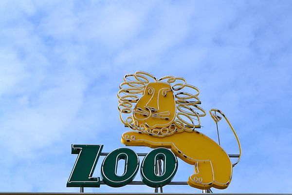 Bilet do wrocławskiego zoo można już kupić przez internet