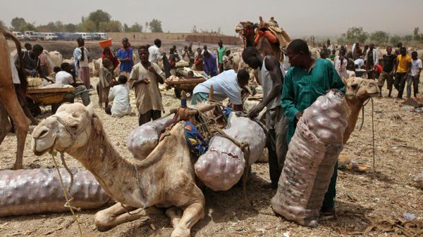 Tarnowska kuria rekrutuje do pracy w Republice Środkowoafrykańskiej