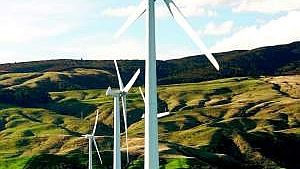 Takie wiatraki wytwarzają prąd w Nowej Zelandii. Czy przyjmą się u nas?