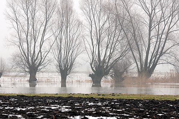 Przybywa wody w rzekach - przekroczone stany alarmowe