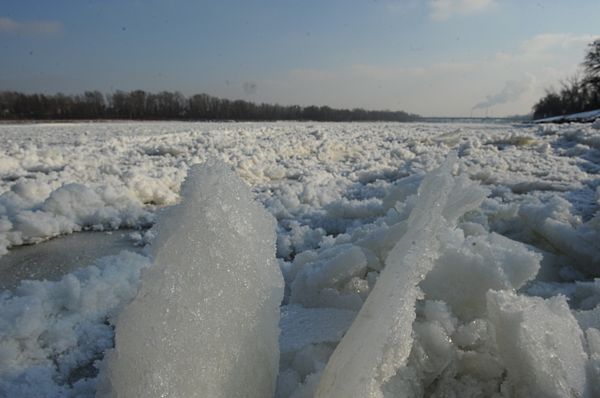 "Nie bądźmy obojętni". W lutym zamarzły już 42 osoby