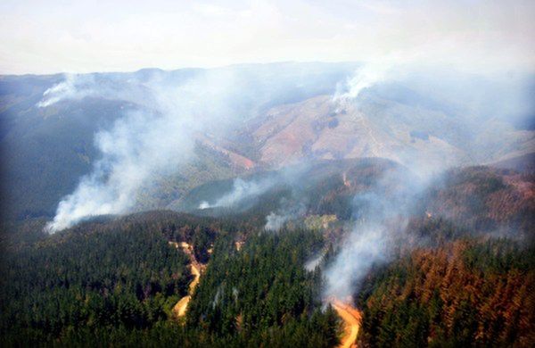 Indianie podpalali lasy w Chile?