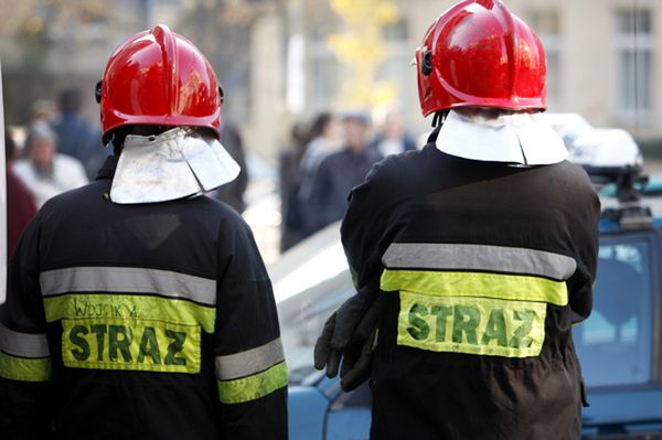 Spłonęło 320 hektarów nieużytków - czterech strażaków rannych