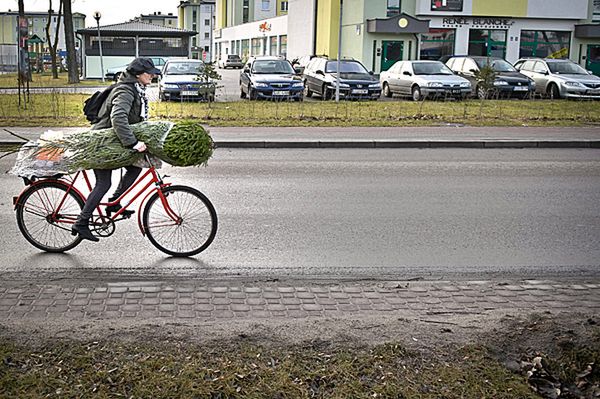 Polacy jednak z czegoś się cieszą - najnowszy sondaż