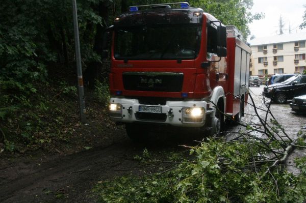 Synoptycy ostrzegają: do Polski nadciągają silne wichury