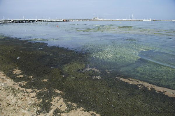 Tobie też mogą zepsuć wakacje. Zamknięto trzy plaże