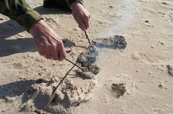 Usunięto odpady z plaży w Czołpinie. Zebrano 720 litrów toksycznych odpadów