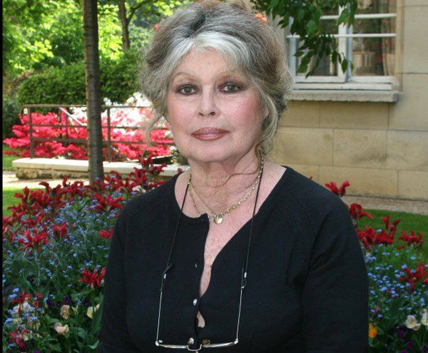 Brigitte Bardot pisze list do Ewy Kopacz