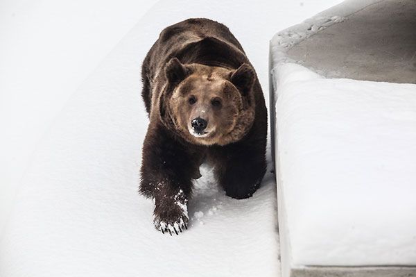 Warszawskie zoo ma już 85 lat