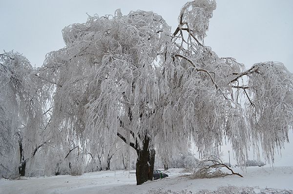 Prognoza pogody na 12 i 13 lutego