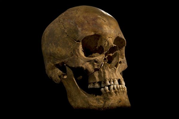 Brytyjscy naukowcy potwierdzają odkrycie zwłok Ryszarda III