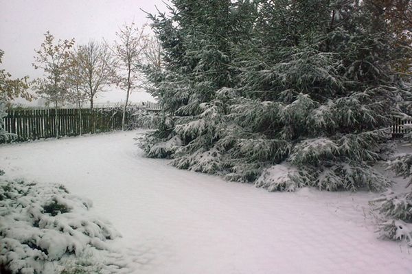 IMGW przewiduje: na śnieg jeszcze poczekamy