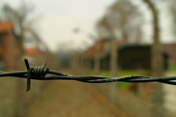 Muzeum Holokaustu zwraca Polsce barak z Auschwitz-Birkenau