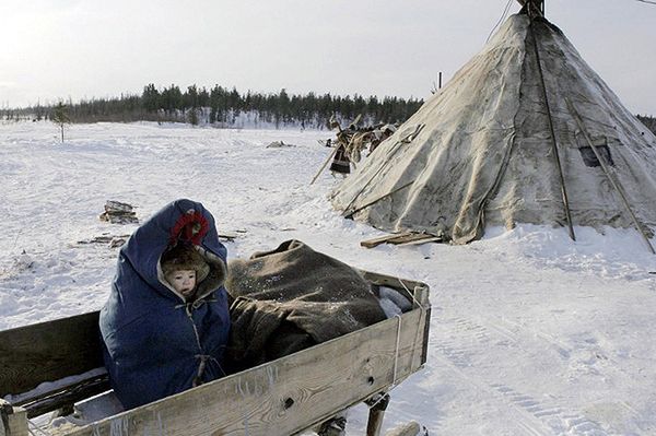 Jeszcze 1,5 stopnia i zacznie tajać Syberia