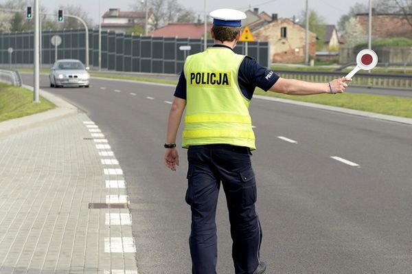 Łukasz Warzecha: złośliwe gnomy zabiorą ci prawko