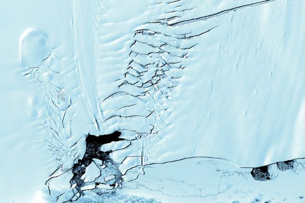 Antarktyczny lodowiec Pine Island "urodził" kolejną górę lodową