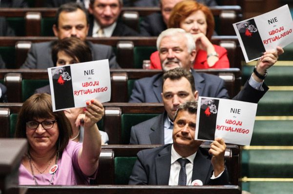 Sejm odrzucił rządowy projekt dotyczący uboju rytualnego