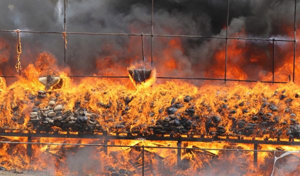 Iran: zniszczono 100 ton narkotyków - przez kraj przechodzi szlak przemytniczy