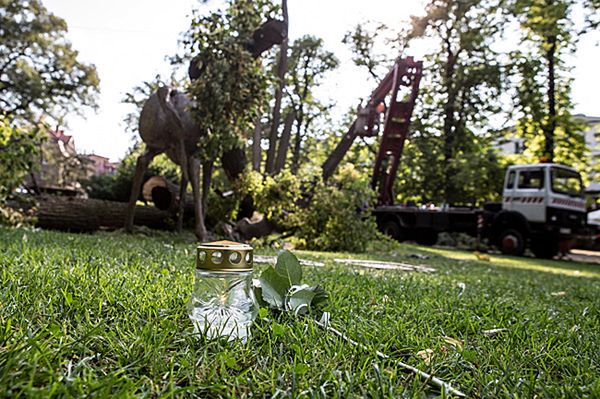 Tragiczna śmierć 4-latki w parku w Szczawnie Zdroju. Nowe fakty