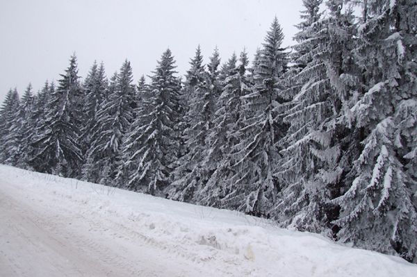 Śnieg, deszcz i mgły - prognoza pogody na 21 i 22 listopada